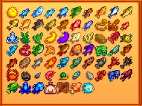 stardew fish|fish catalogue stardew.